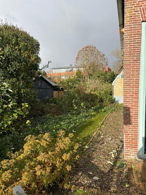 Tuinonderhoud